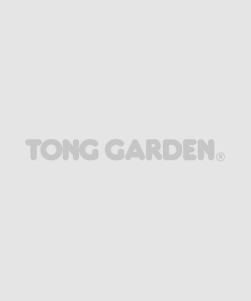 Tong Garden  Noi  Seaweed Wasabi Flavor Cassava Chips 40g 